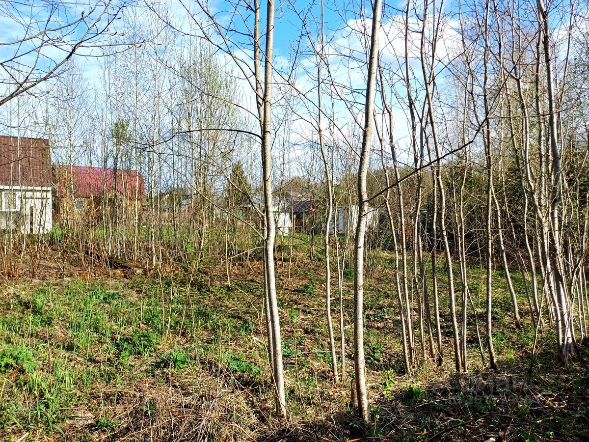 Купить земельный участок в СНТ Лесная Поляна городского округа  Наро-Фоминского, продажа земельных участков - база объявлений Циан. Найдено  2 объявления