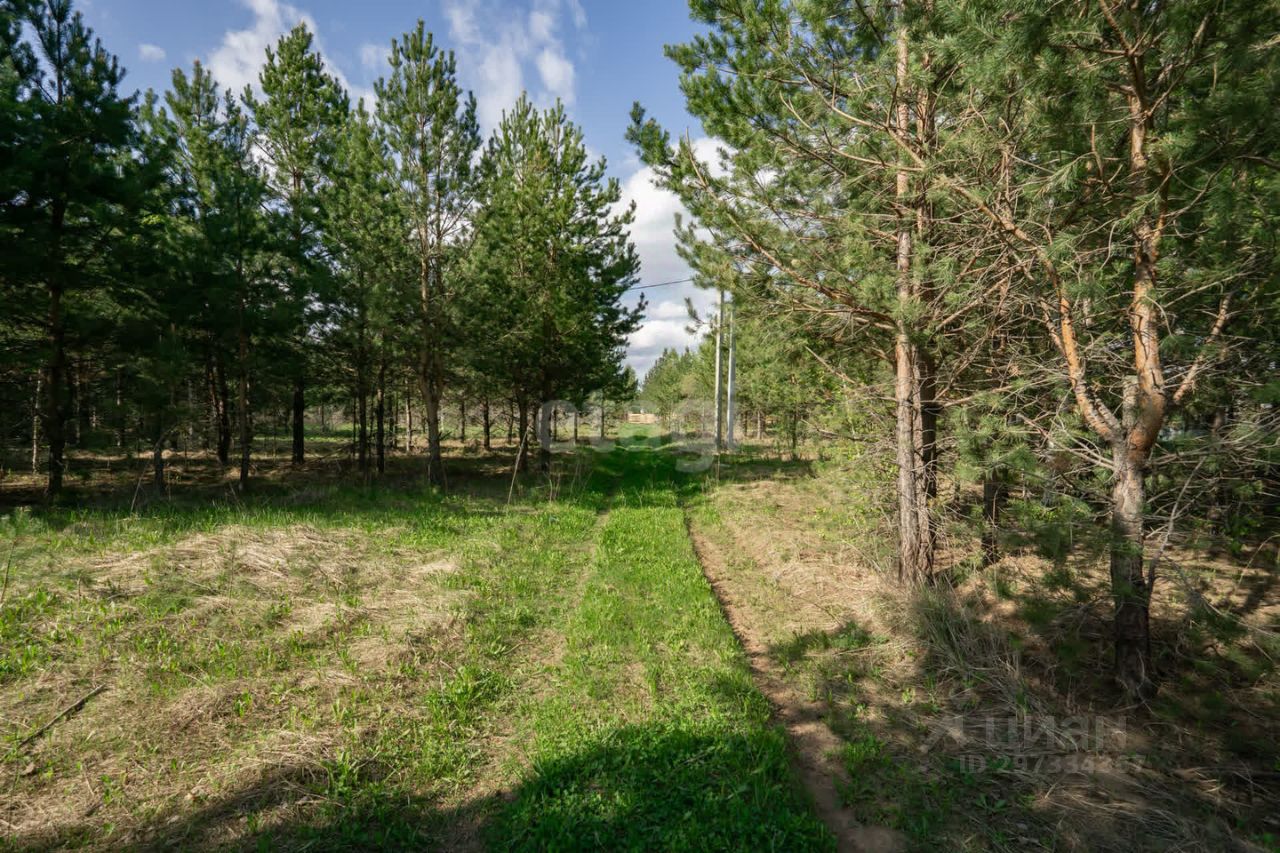 Купить загородную недвижимость в СНО Орбита-2 в сельском поселении  Малошильнинское, продажа загородной недвижимости - база объявлений Циан.  Найдено 10 объявлений