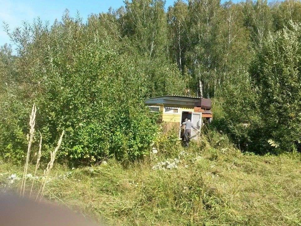 На фотографии виден небольшой домик, выполненный в простом архитектурном стиле. Стены окрашены в светлые тона, с использованием деревянных панелей. Крыша имеет металлическое покрытие, что указывает на практичность конструкции. Открытая дверь и окна создают ощущение уюта и доступности. Рядом с домом много зелени, включая кустарники и траву, что придает месту естественный вид. Внешние отделочные материалы выглядят простыми, но функциональными, что подчеркивает характер загородного жилья.