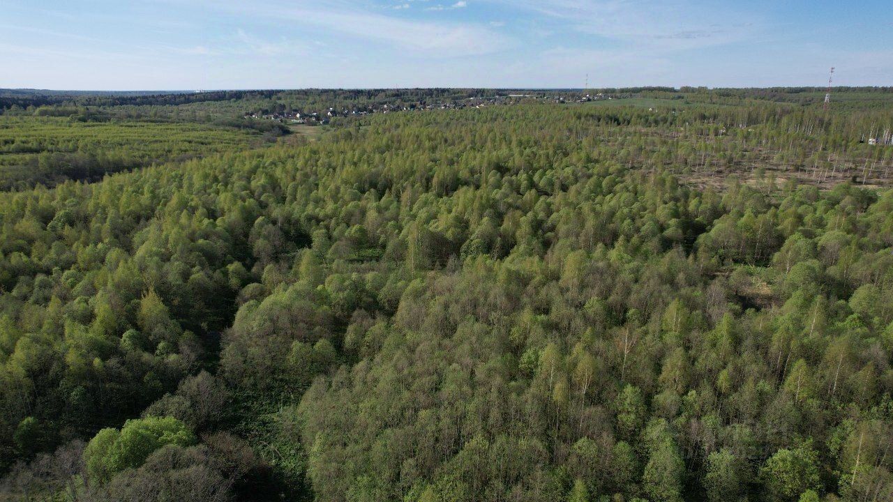 Купить земельный участок в дачном поселке Щучье озеро городского округа  Клина, продажа земельных участков - база объявлений Циан. Найдено 17  объявлений