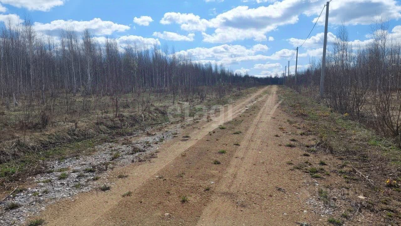 Купить земельный участок в ДНТ Раздолье в сельсовет Каменский, продажа  земельных участков - база объявлений Циан. Найдено 3 объявления