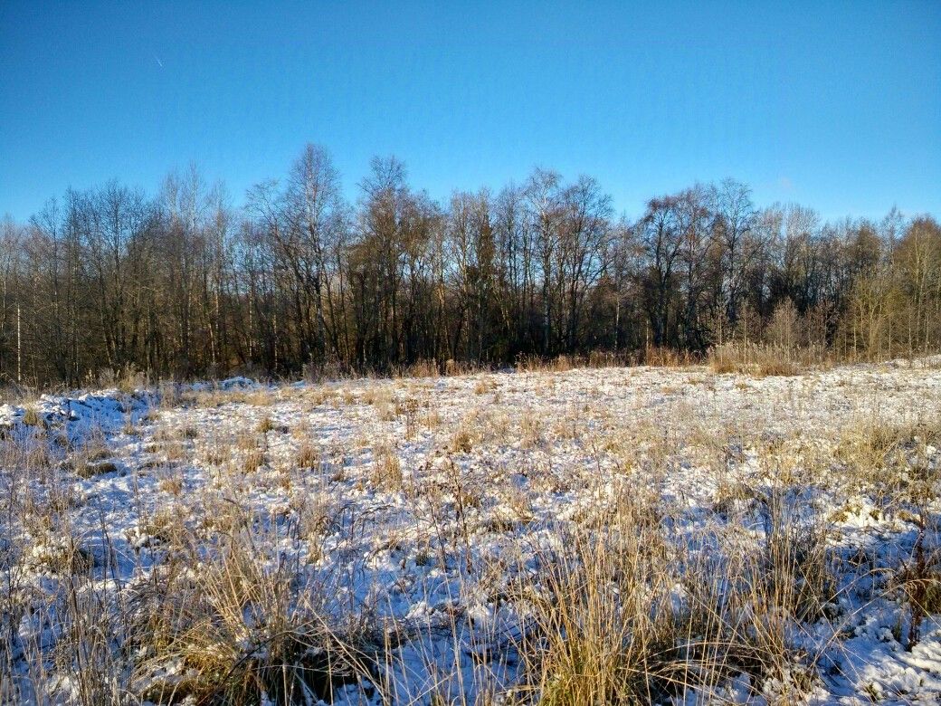 Купить загородную недвижимость на улице Первомайская в деревне Лопухинка в  сельском поселении Лопухинское, продажа загородной недвижимости - база  объявлений Циан. Найдено 1 объявление