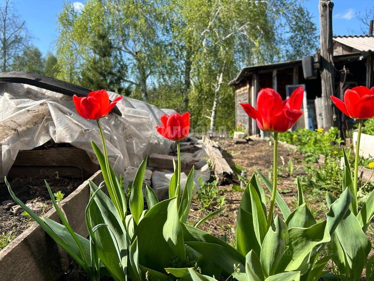 Купить дом в Барнауле, продажа домов - база объявлений Циан. Найдено 367  объявлений