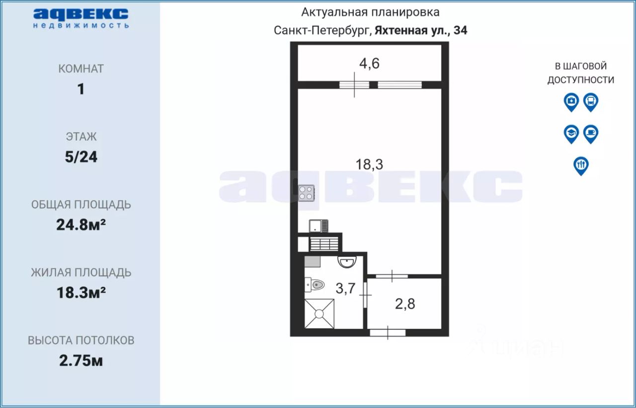 Продажа квартиры-студии 24,8м² Яхтенная ул., 34, Санкт-Петербург, м.  Комендантский проспект - база ЦИАН, объявление 302083993