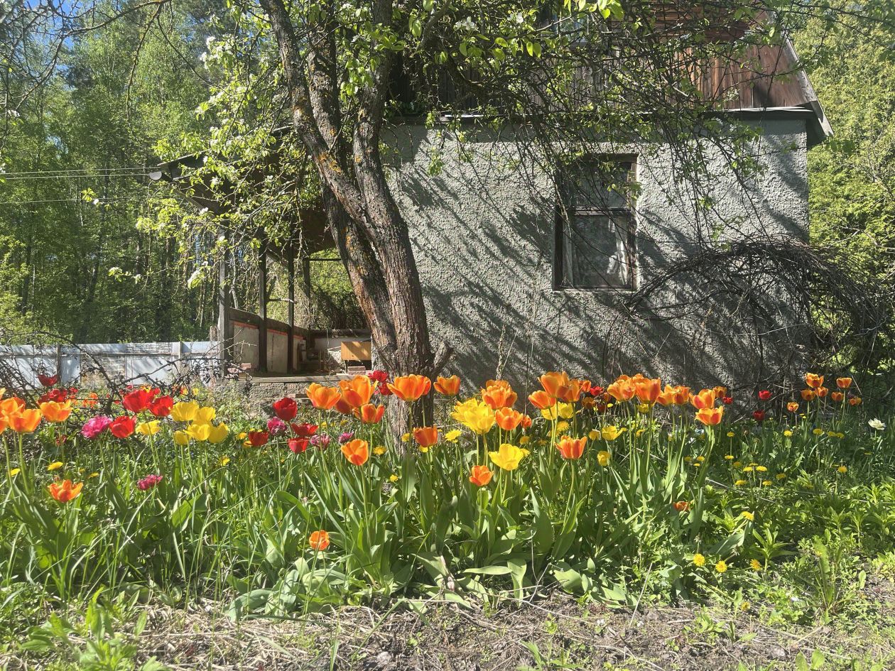 Купить загородную недвижимость в садовое товарищество Металлист-2  городского округа Воскресенска, продажа загородной недвижимости - база  объявлений Циан. Найдено 2 объявления