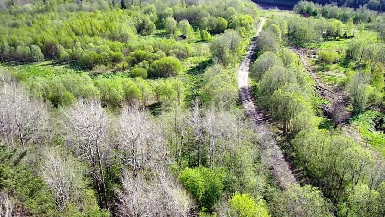 Купить загородную недвижимость в деревне Льзи Волховского района, продажа  загородной недвижимости - база объявлений Циан. Найдено 4 объявления