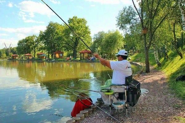 Ошибка загрузки фото