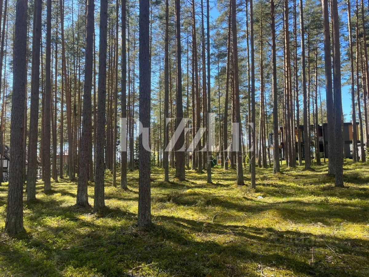 Купить земельный участок ИЖС в Выборгском районе Ленинградской области,  продажа участков под строительство. Найдено 478 объявлений.