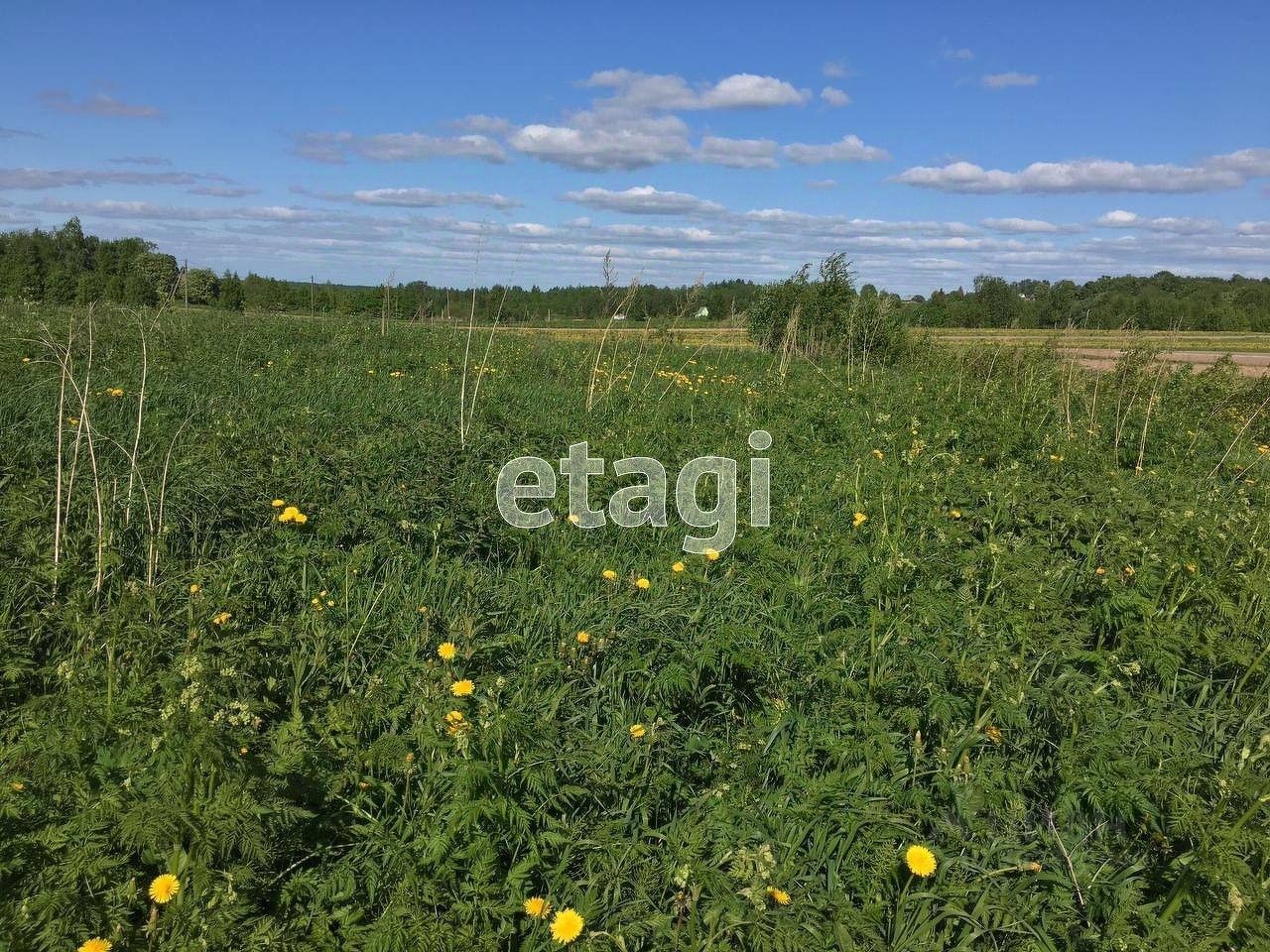 Купить загородную недвижимость в деревне Ершово Шекснинского района,  продажа загородной недвижимости - база объявлений Циан. Найдено 5 объявлений