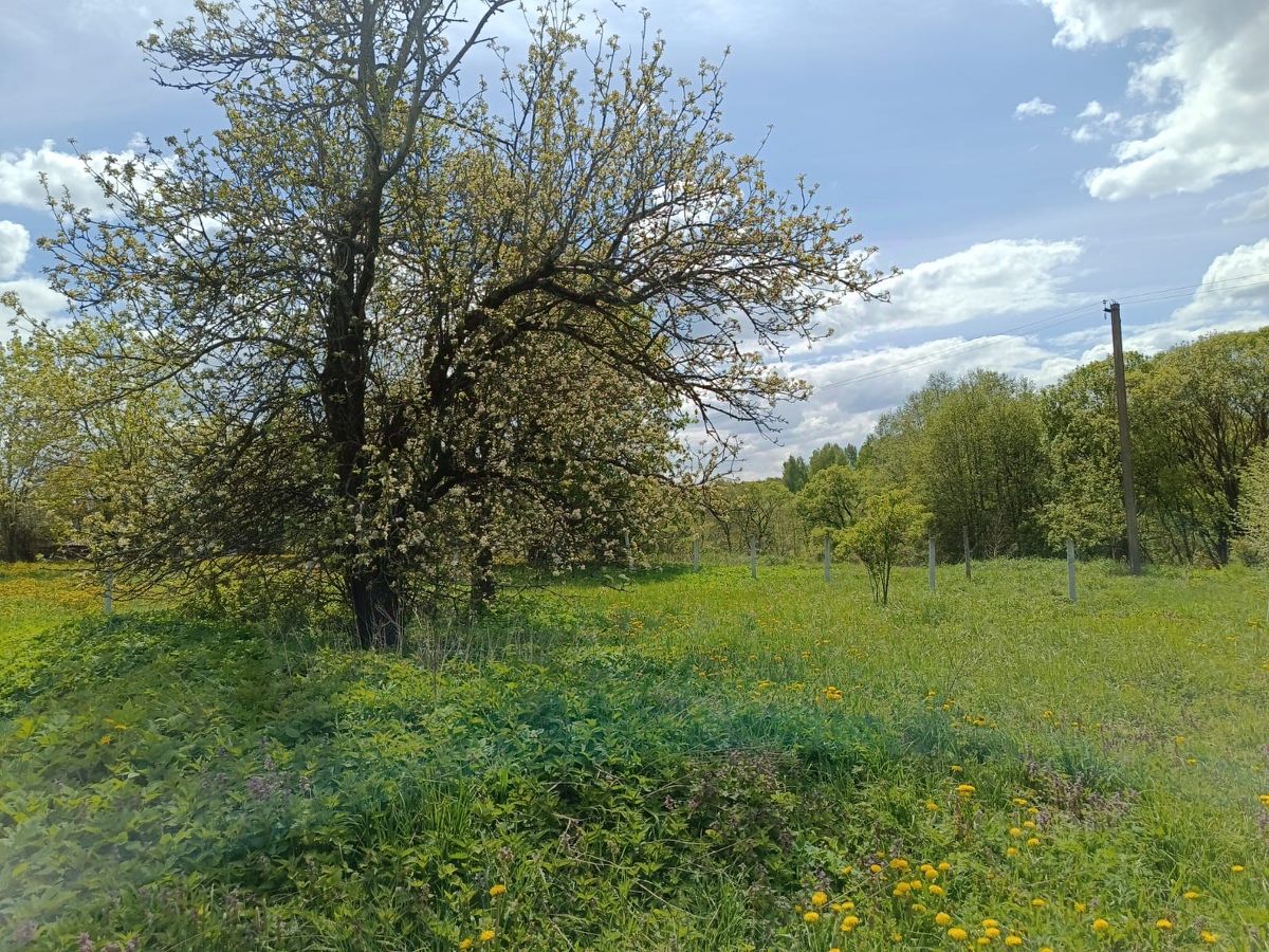 Купить загородную недвижимость в деревне Рязаново Смоленского района,  продажа загородной недвижимости - база объявлений Циан. Найдено 3 объявления