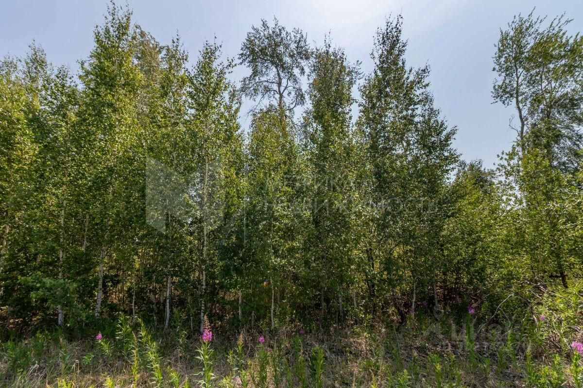 Купить земельный участок в садовое товарищество Лаванда в городе Тюмень,  продажа земельных участков - база объявлений Циан. Найдено 6 объявлений