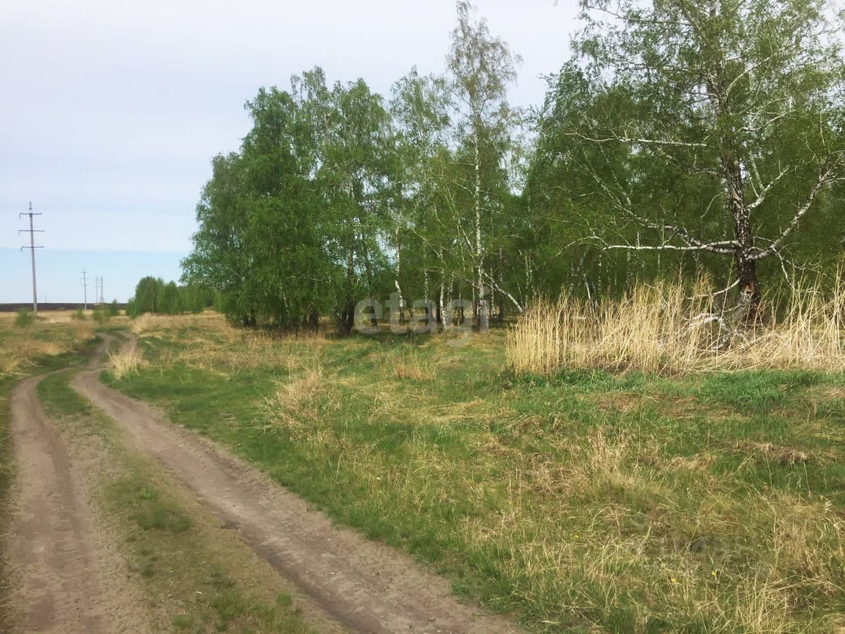 Купить загородную недвижимость в селе Фершампенуаз Челябинской области,  продажа загородной недвижимости - база объявлений Циан. Найдено 2 объявления