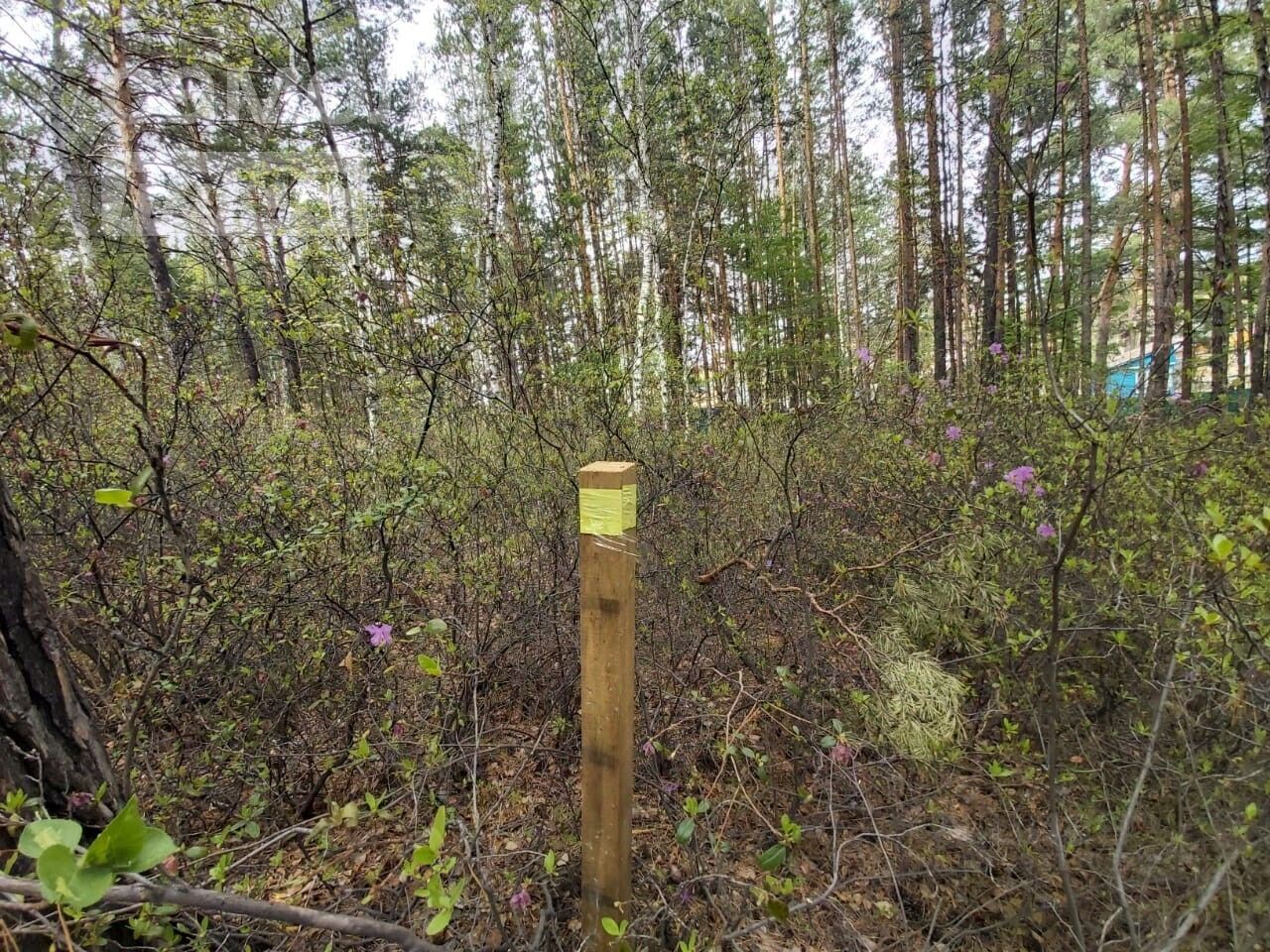 Купить земельный участок в Читинском районе Забайкальского края, продажа  земельных участков - база объявлений Циан. Найдено 426 объявлений