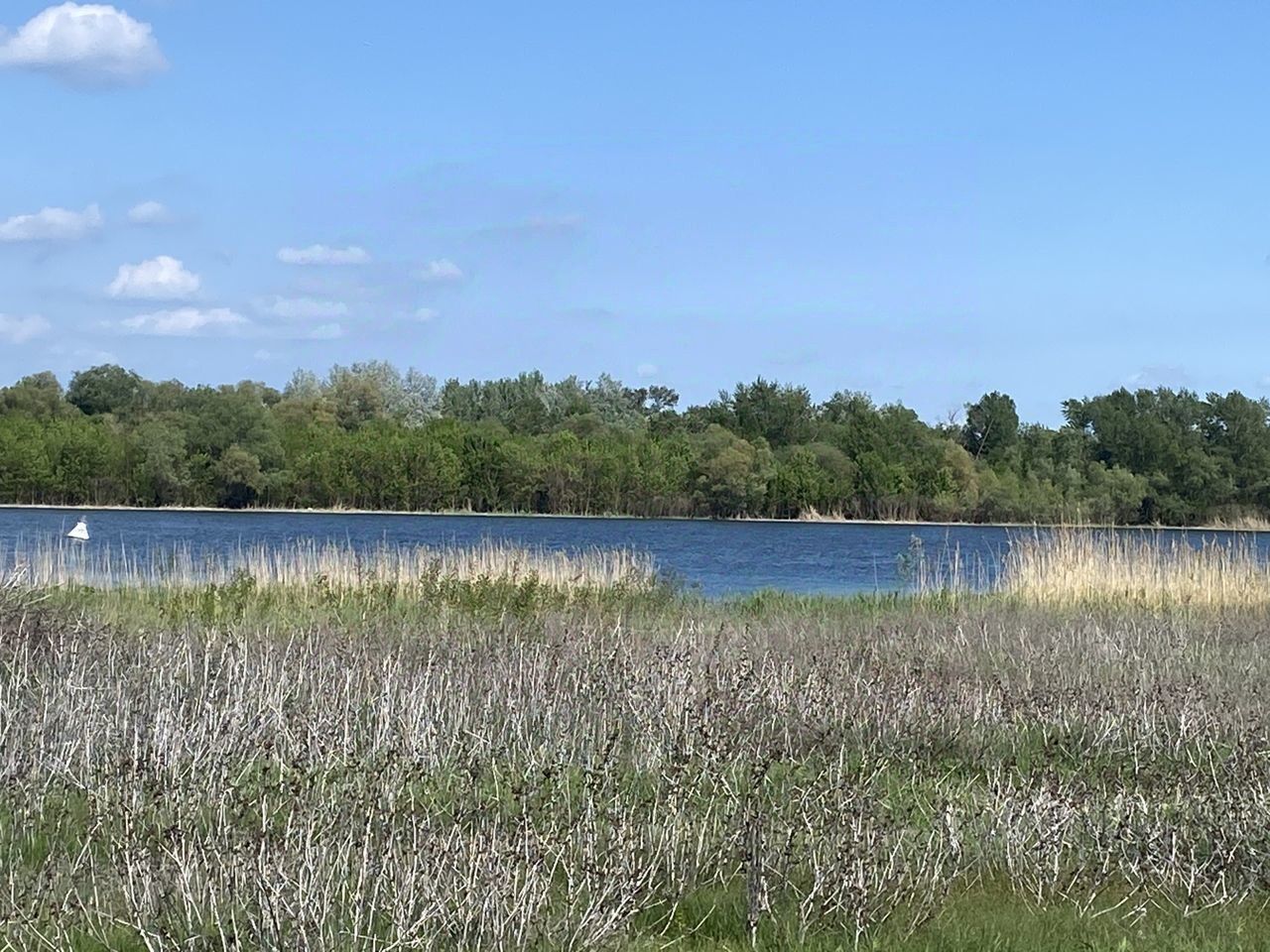 Купить загородную недвижимость на улице Береговая в хуторе Арпачин в  сельском поселении Манычское, продажа загородной недвижимости - база  объявлений Циан. Найдено 1 объявление