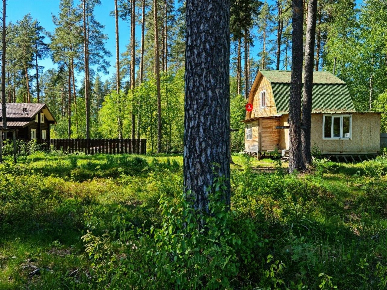 Купить дом на улице Мира в городском поселке Вырица, продажа домов - база  объявлений Циан. Найдено 3 объявления