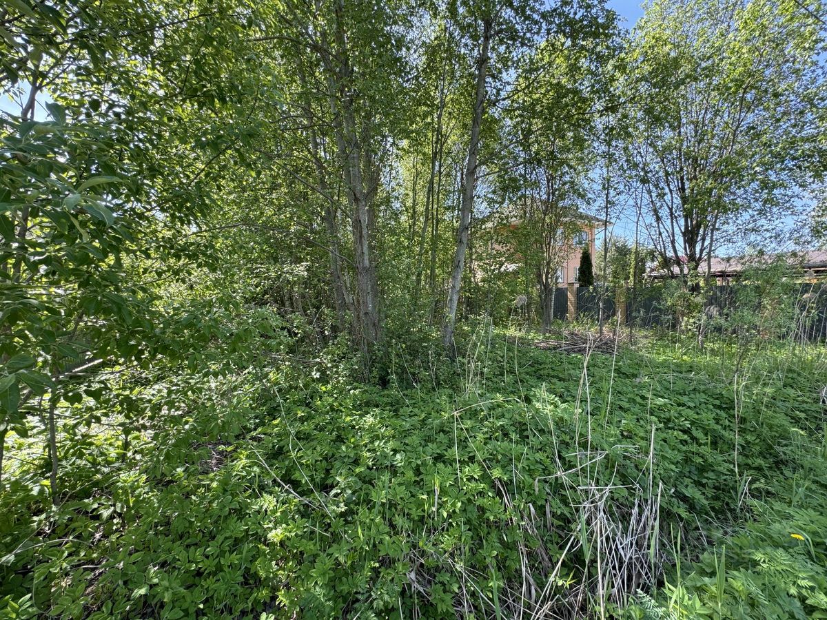 Купить загородную недвижимость в садовое товарищество Плес городского  округа Дмитровского, продажа загородной недвижимости - база объявлений  Циан. Найдено 3 объявления