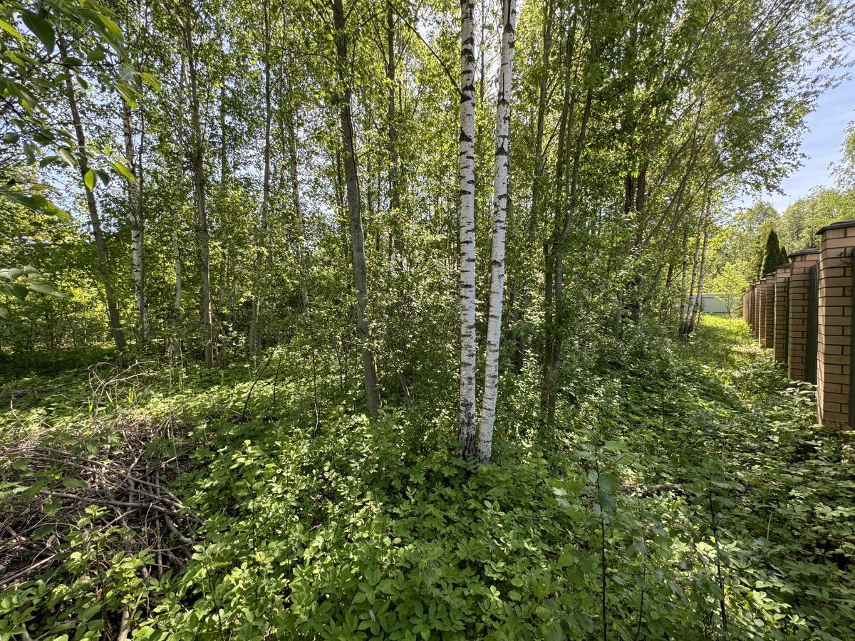 Купить загородную недвижимость в садовое товарищество Плес городского  округа Дмитровского, продажа загородной недвижимости - база объявлений  Циан. Найдено 3 объявления