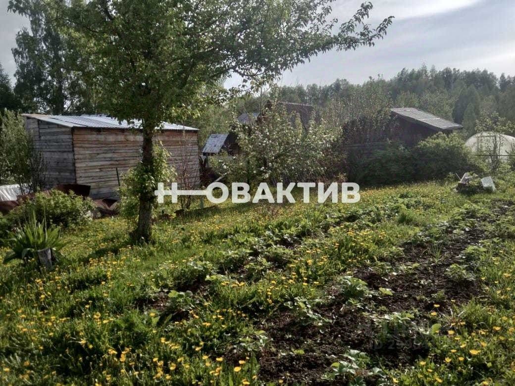 Купить дом в СНТ Алый Рассвет в городе Новосибирск, продажа домов - база  объявлений Циан. Найдено 6 объявлений