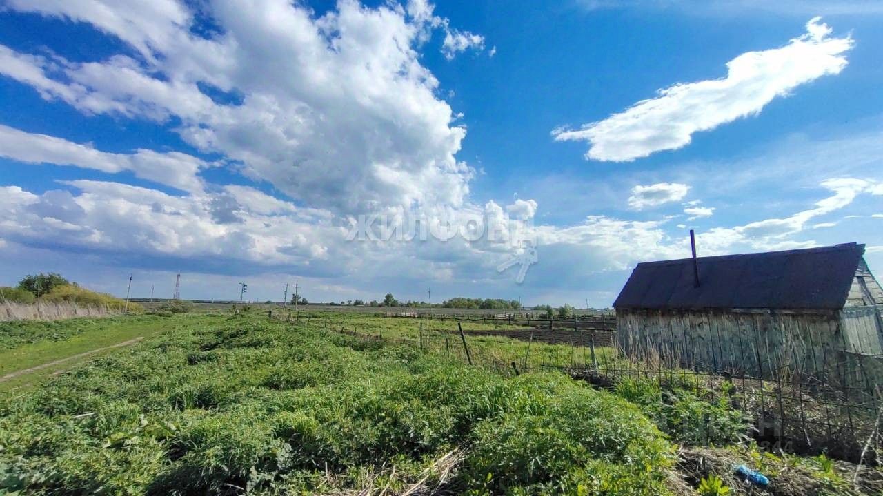 Купить загородную недвижимость в селе Черемное Павловского района, продажа  загородной недвижимости - база объявлений Циан. Найдено 28 объявлений