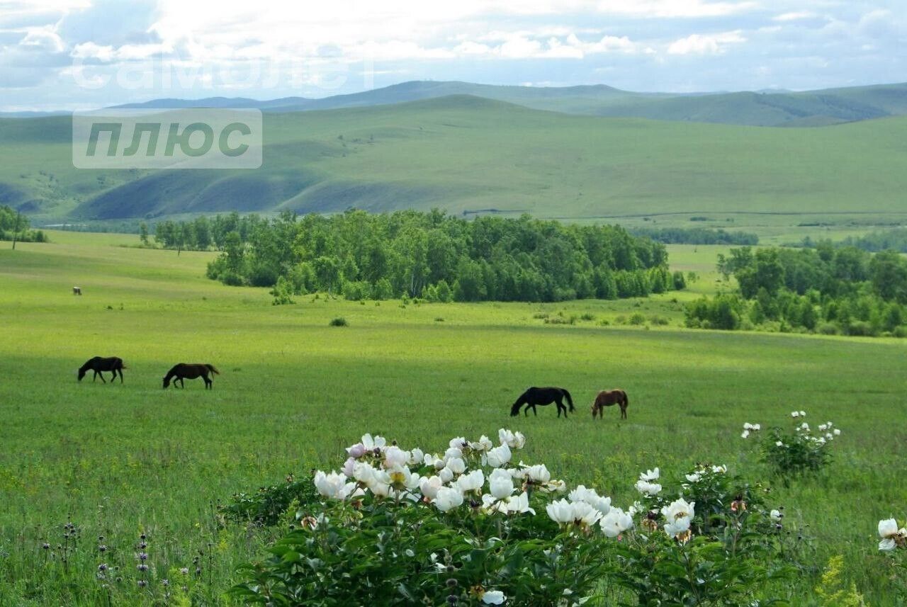 Купить земельный участок в районе Черновский в городе Чита, продажа  земельных участков - база объявлений Циан. Найдено 108 объявлений