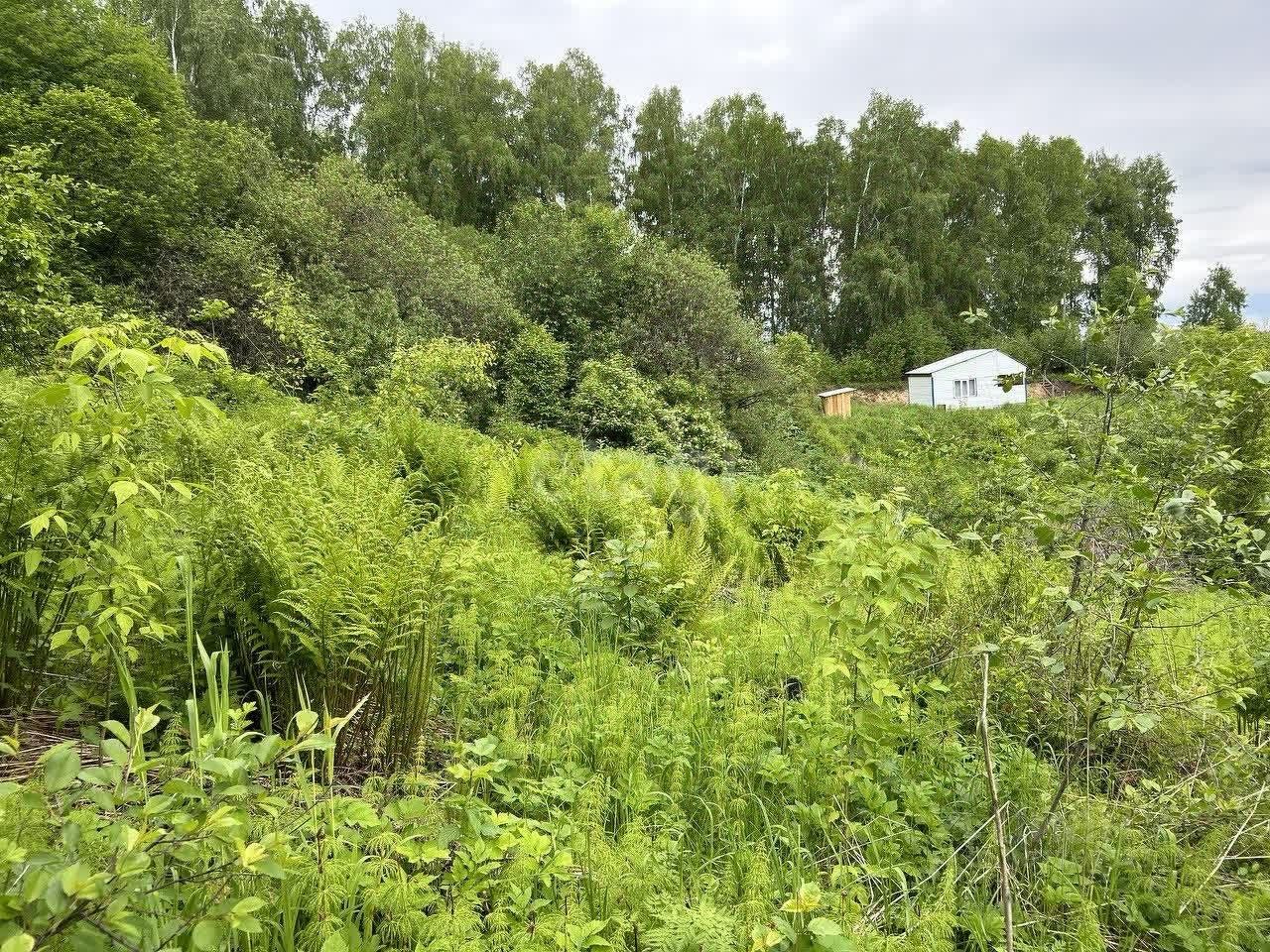 Купить земельный участок в СНТ Электрик в городе Горно-Алтайск, продажа  земельных участков - база объявлений Циан. Найдено 2 объявления