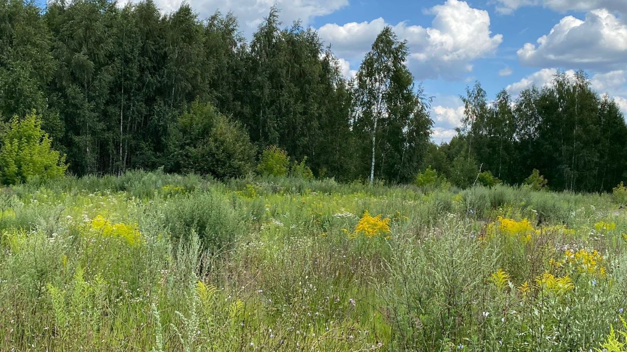 Купить дачный участок в рабочем поселке Монино Московской области, продажа  участков для дачи. Найдено 4 объявления.