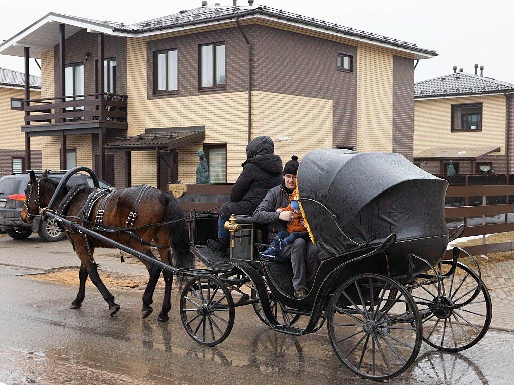 собственный дом карета (98) фото