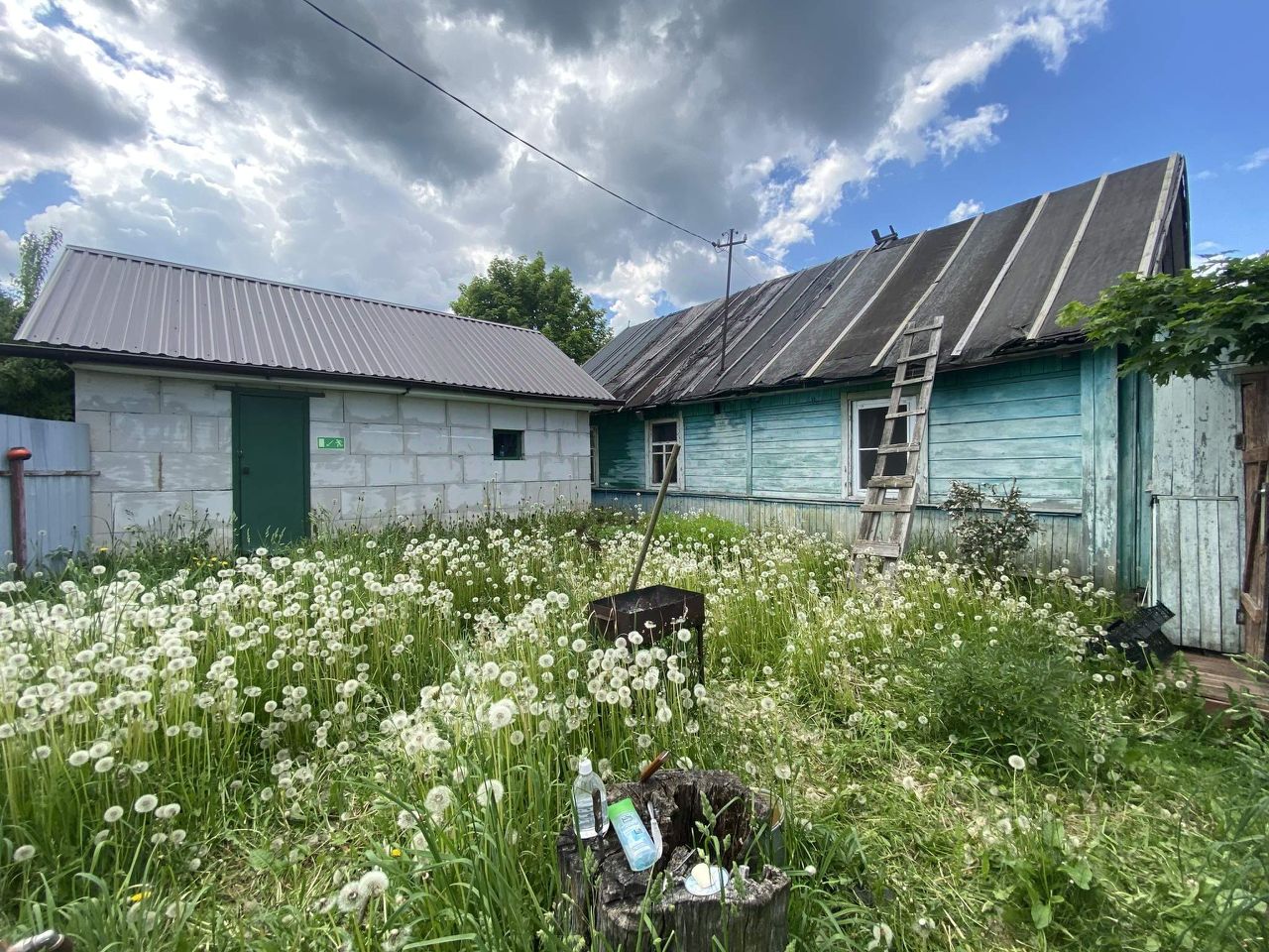 дом в катыни смоленской (99) фото