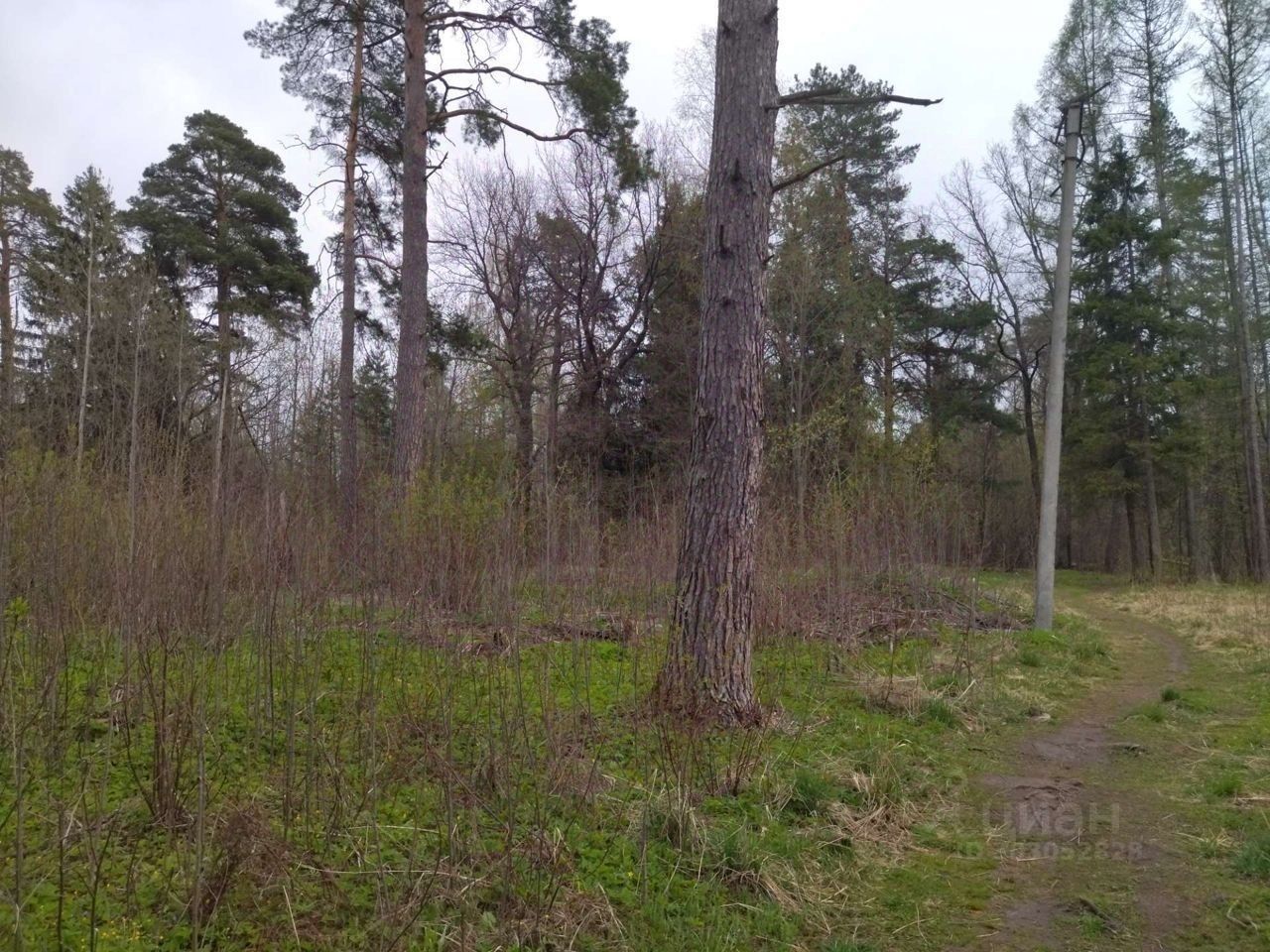 Купить загородную недвижимость на улице Кирпичная в городе Йошкар-Ола,  продажа загородной недвижимости - база объявлений Циан. Найдено 2 объявления