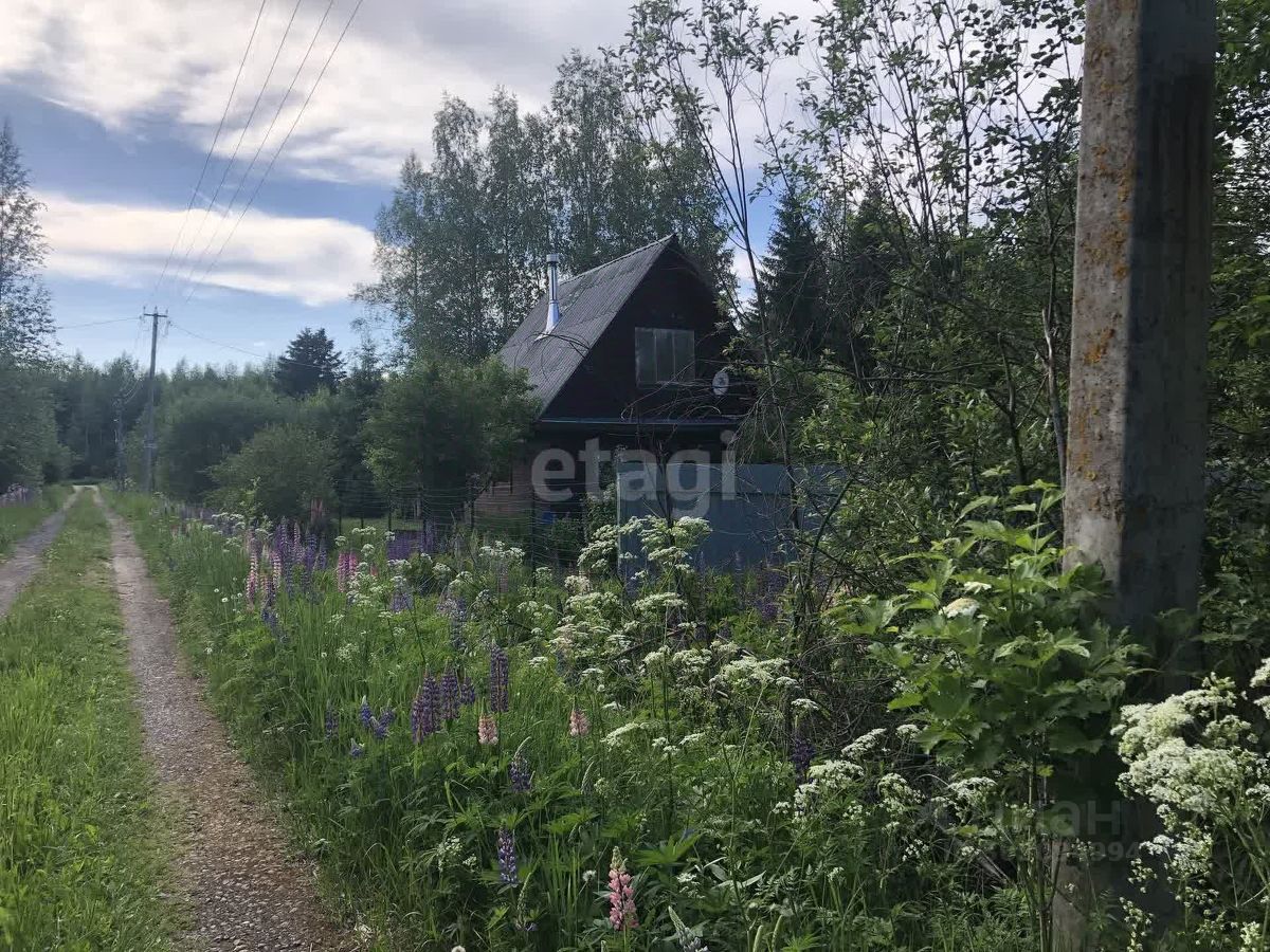 Купить загородную недвижимость в СНТ Аэрофлот-Кириши в садоводческом  массиве Посадников остров, продажа загородной недвижимости - база  объявлений Циан. Найдено 2 объявления