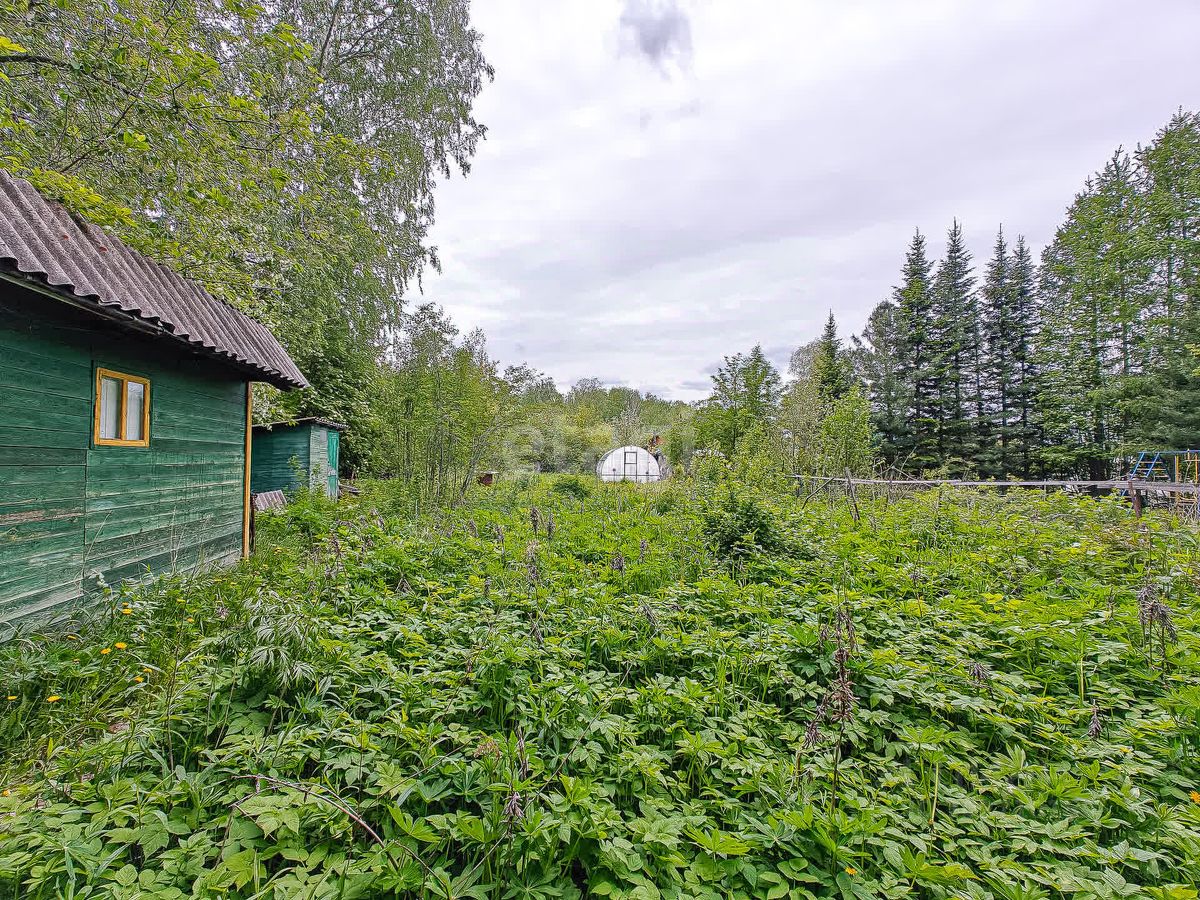 Купить загородную недвижимость в СНТ Садовод-Мичуринец в городе  Новосибирск, продажа загородной недвижимости - база объявлений Циан.  Найдено 6 объявлений