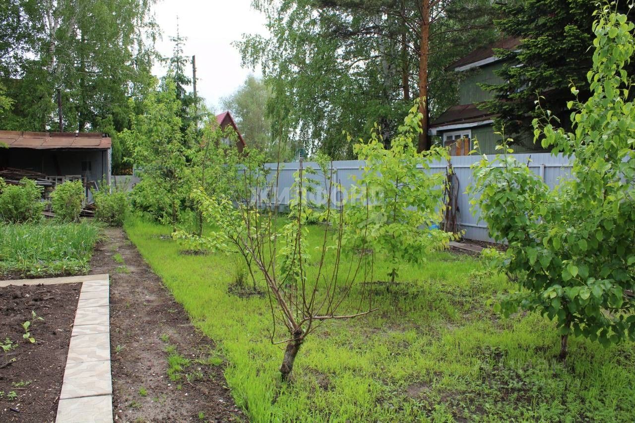 Купить дом в садовое товарищество Ивушка в городе Новосибирск, продажа  домов - база объявлений Циан. Найдено 5 объявлений