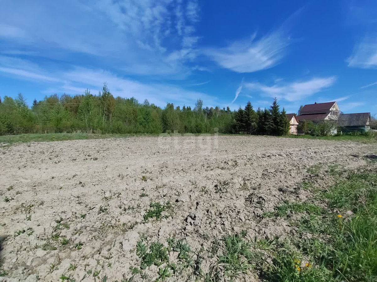 Купить загородную недвижимость на улице Левобережная в деревне Чажешно в  сельском поселении Вындиноостровское, продажа загородной недвижимости -  база объявлений Циан. Найдено 1 объявление