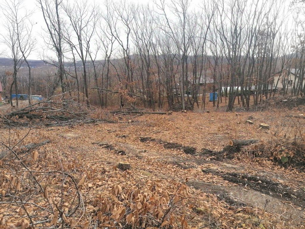 Купить загородную недвижимость в коттеджном поселке Кедр в городе Находка,  продажа загородной недвижимости - база объявлений Циан. Найдено 12  объявлений