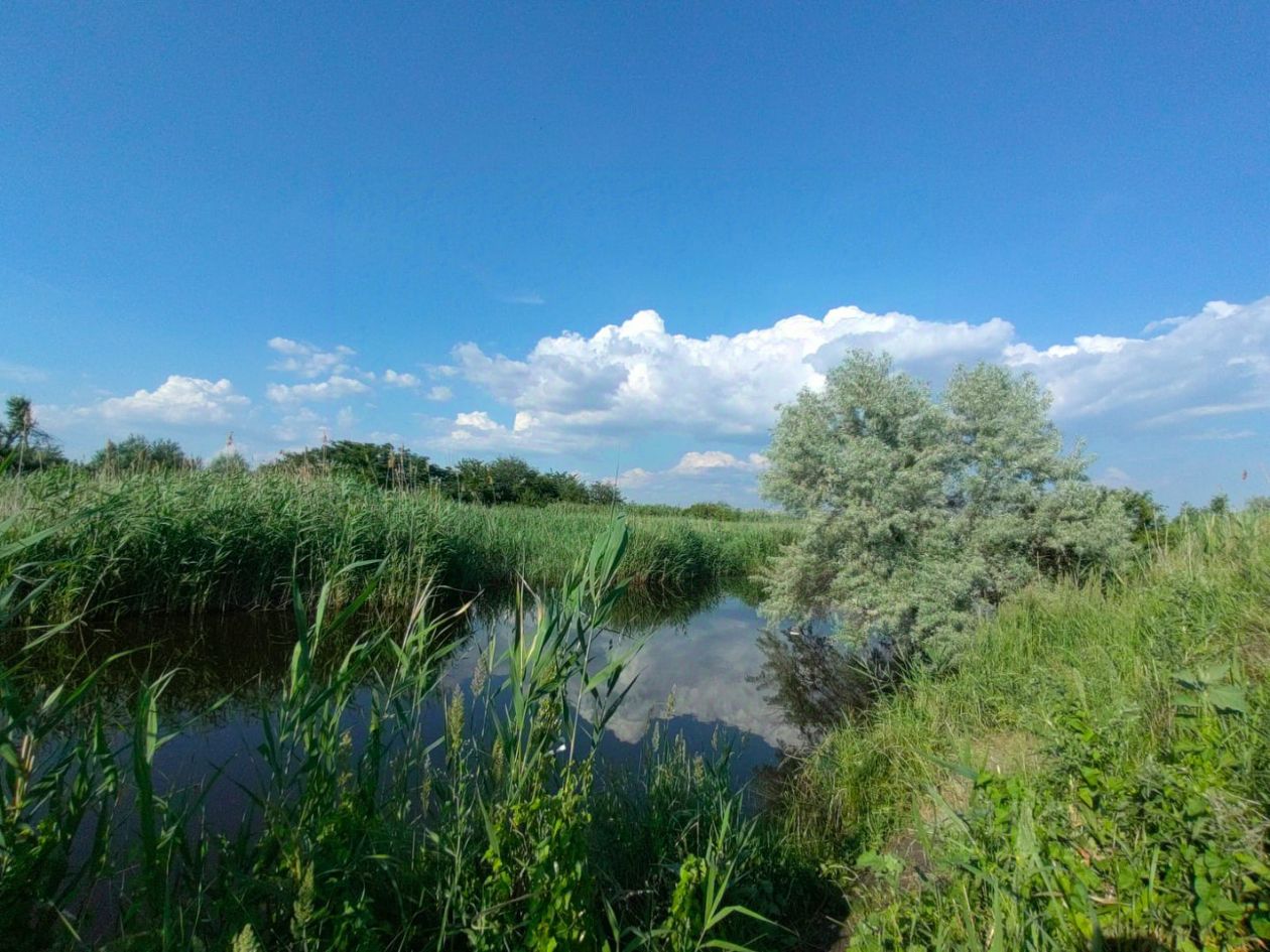 Купить земельный участок в СНТ Донстрой в городе Ростов-на-Дону, продажа  земельных участков - база объявлений Циан. Найдено 5 объявлений