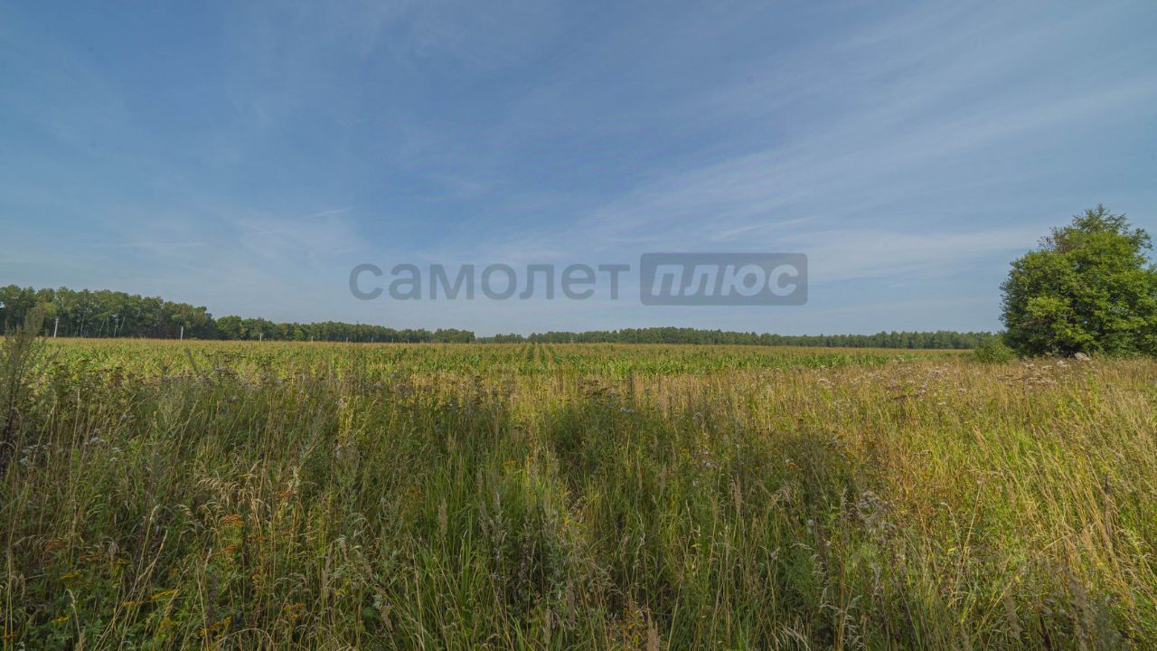 Купить земельный участок в СНТ Хуторок городского округа Наро-Фоминского,  продажа земельных участков - база объявлений Циан. Найдено 4 объявления