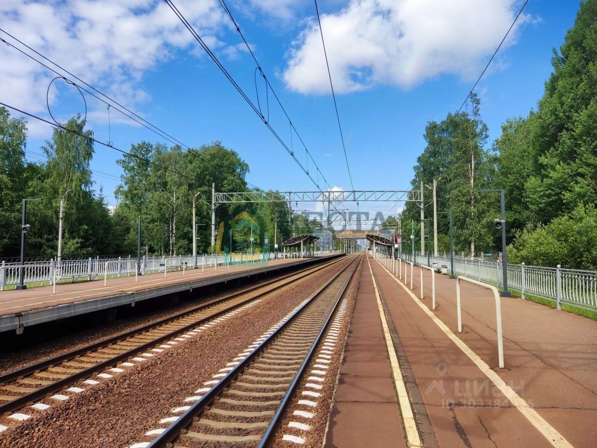 Купить земельный участок в поселке Песочный в Санкт-Петербурге, продажа  земельных участков - база объявлений Циан. Найдено 5 объявлений