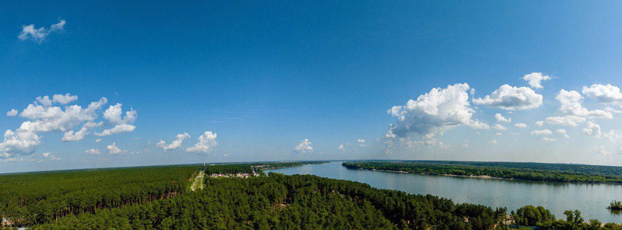 Парки