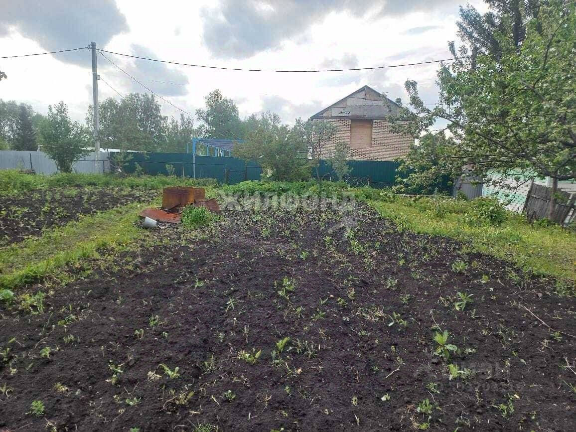 Купить дом в садовое товарищество Пищевик в городе Новосибирск, продажа  домов - база объявлений Циан. Найдено 2 объявления