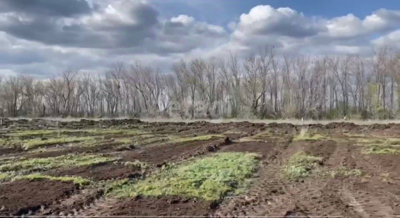 Купить земельный участок в селе Благословенка Оренбургского района, продажа  земельных участков - база объявлений Циан. Найдено 21 объявление