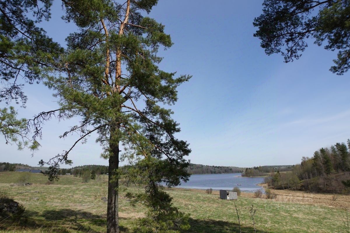 Купить загородную недвижимость в поселке Куркиеки Лахденпохского района,  продажа загородной недвижимости - база объявлений Циан. Найдено 8 объявлений