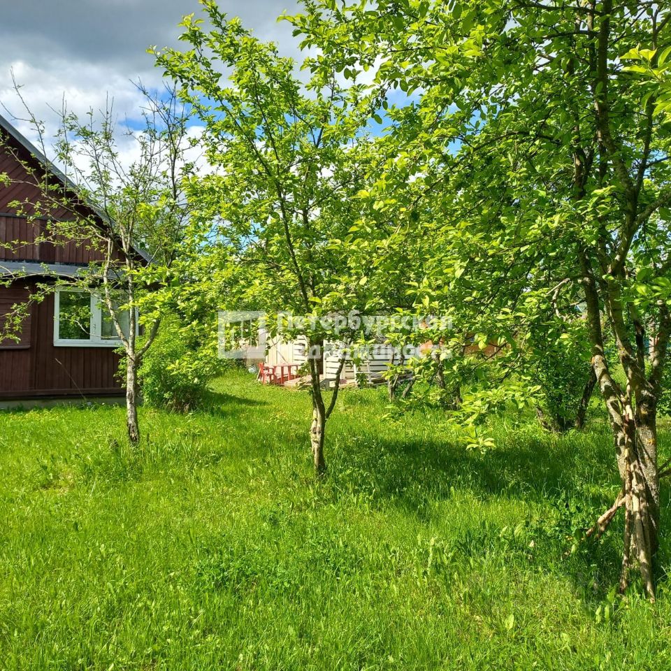 Купить дом в деревне недорого в Новгородской области, продажа деревенских  домов с участком. Найдено 44 объявления.