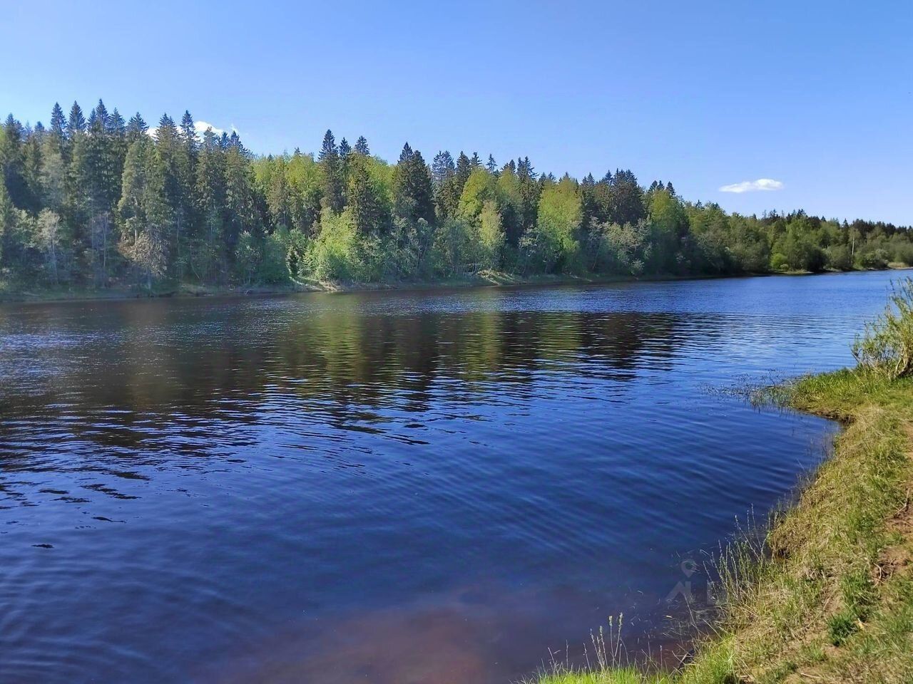 Купить дом в Кингисеппе, продажа домов - база объявлений Циан. Найдено 136  объявлений