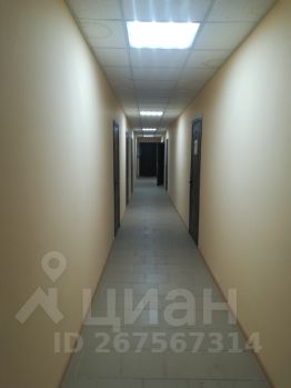 своб. назнач. 517 м², этаж 2