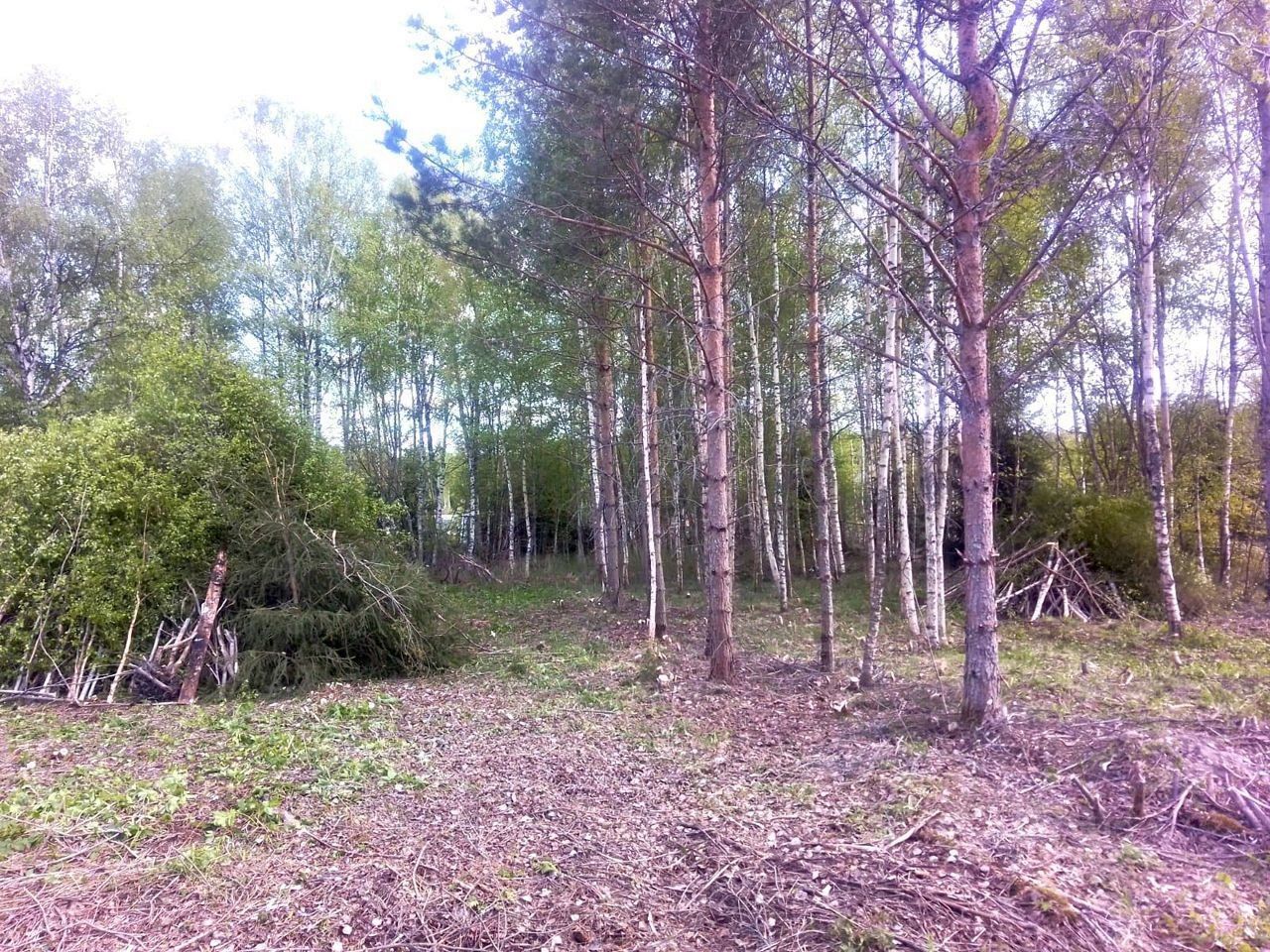 Купить земельный участок в СНТ Соколинское-5 в городском поселении  Советское, продажа земельных участков - база объявлений Циан. Найдено 3  объявления