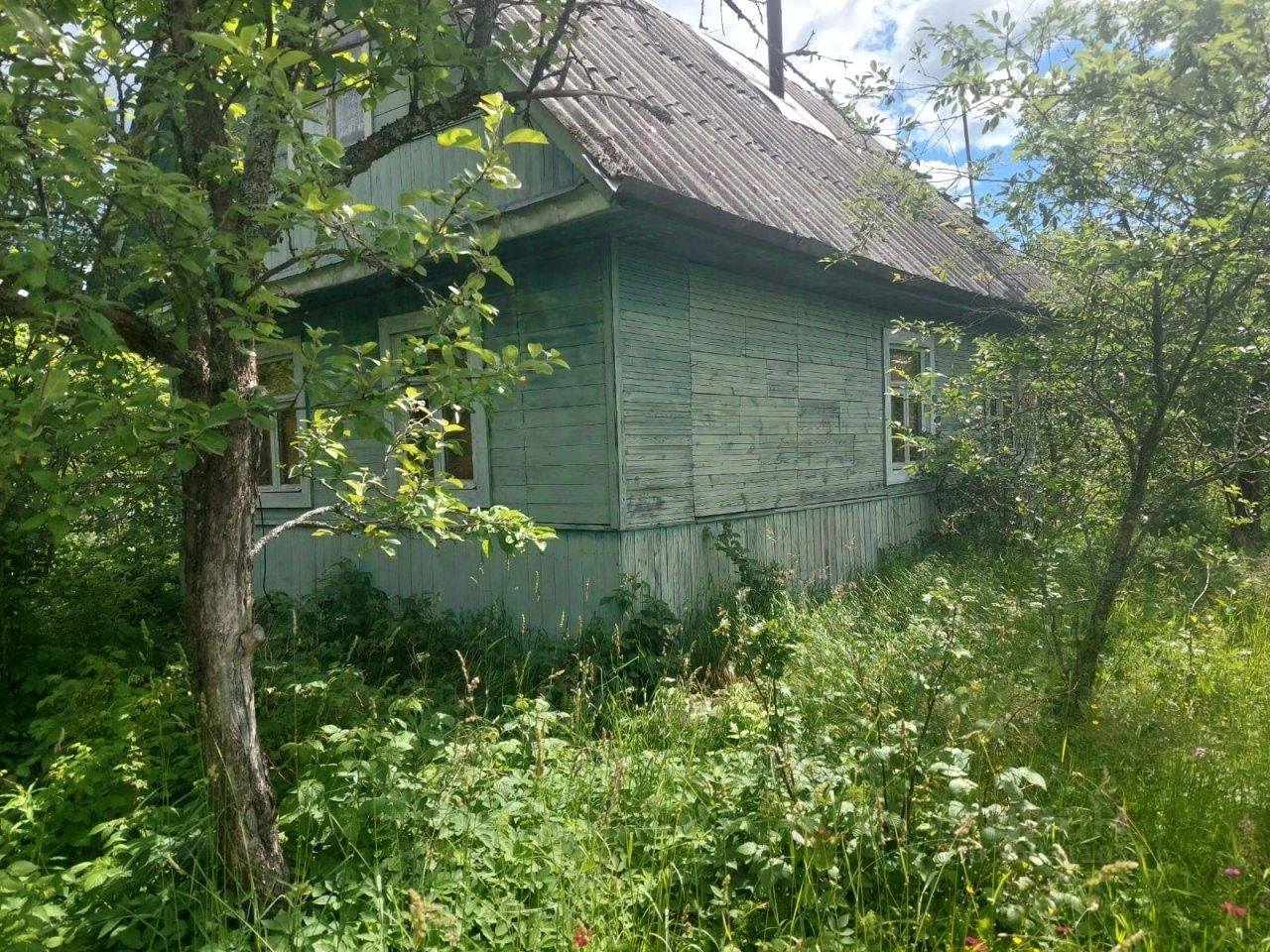 Купить дом в садоводческом массиве Чаща в городском поселении Вырицкое,  продажа домов - база объявлений Циан. Найдено 25 объявлений