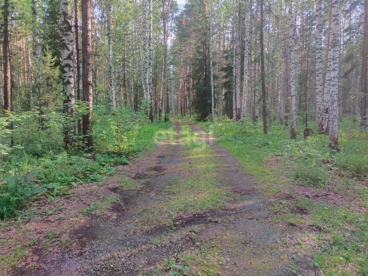 Купить загородную недвижимость в микрорайоне Муринские Пруды в городе Нижний  Тагил, продажа загородной недвижимости - база объявлений Циан. Найдено 1  объявление