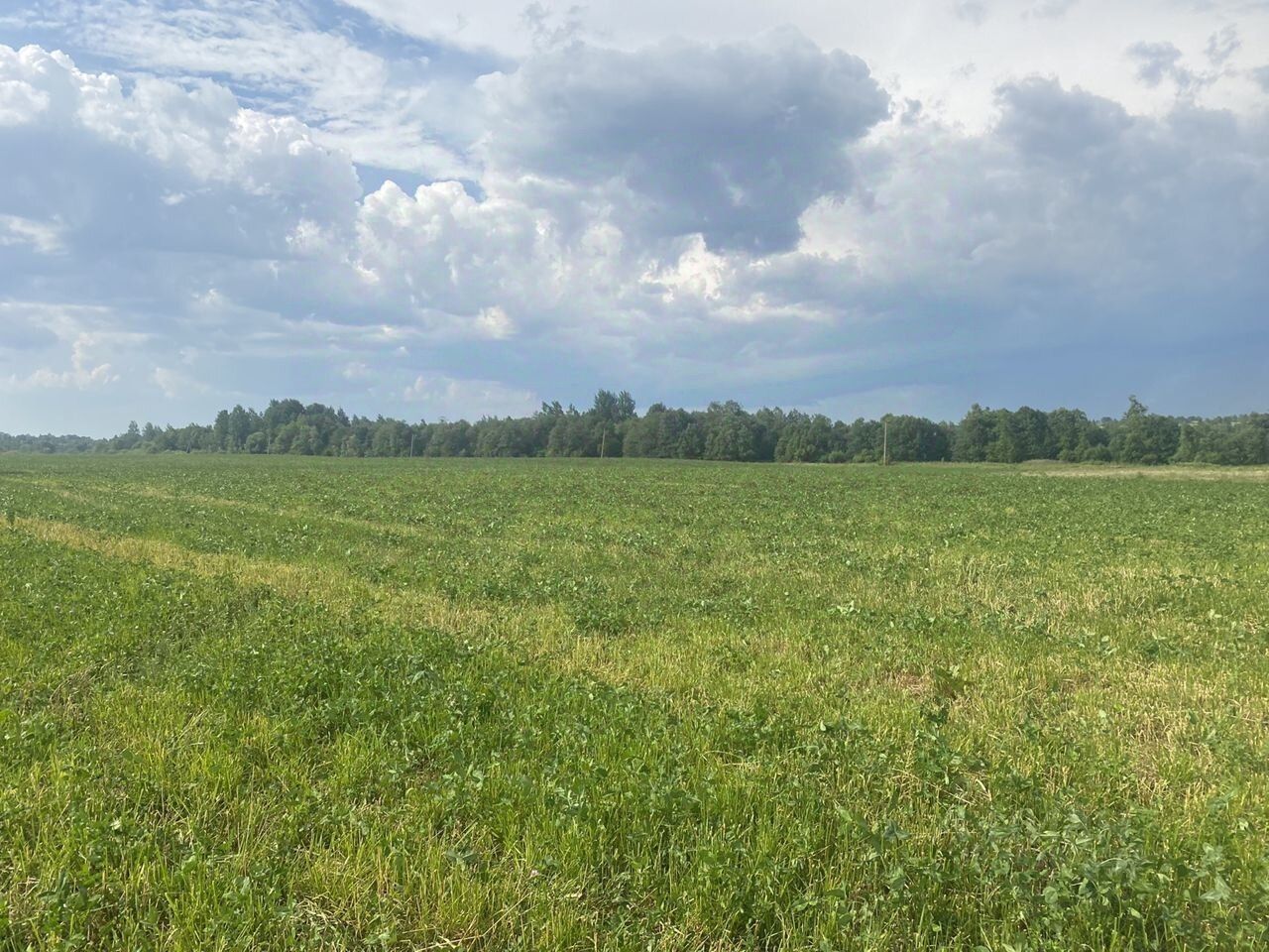 Купить загородную недвижимость в деревне Старая Середка Лужского района,  продажа загородной недвижимости - база объявлений Циан. Найдено 5 объявлений