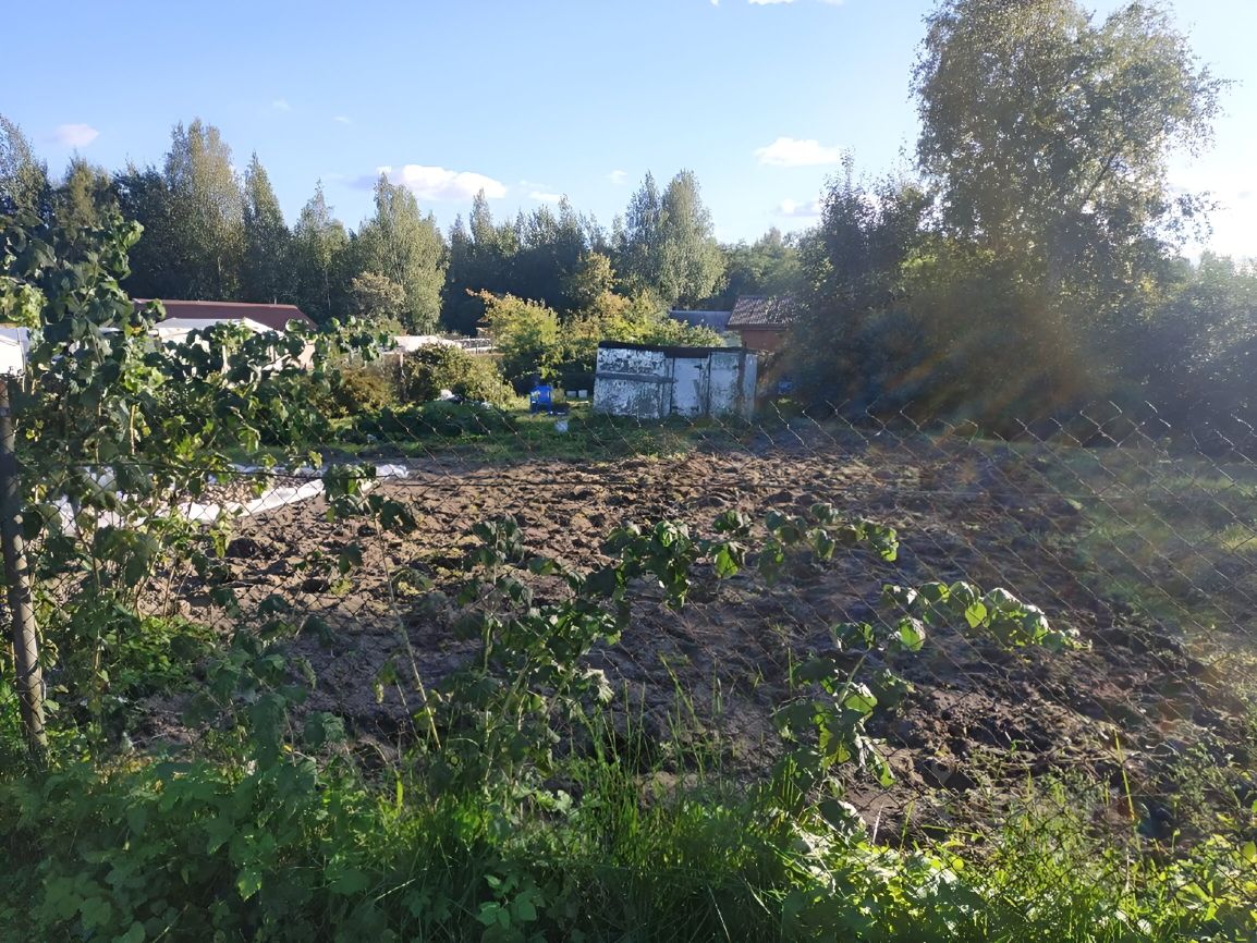 Купить земельный участок в поселке Белоостров в Санкт-Петербурге, продажа  земельных участков - база объявлений Циан. Найдено 10 объявлений