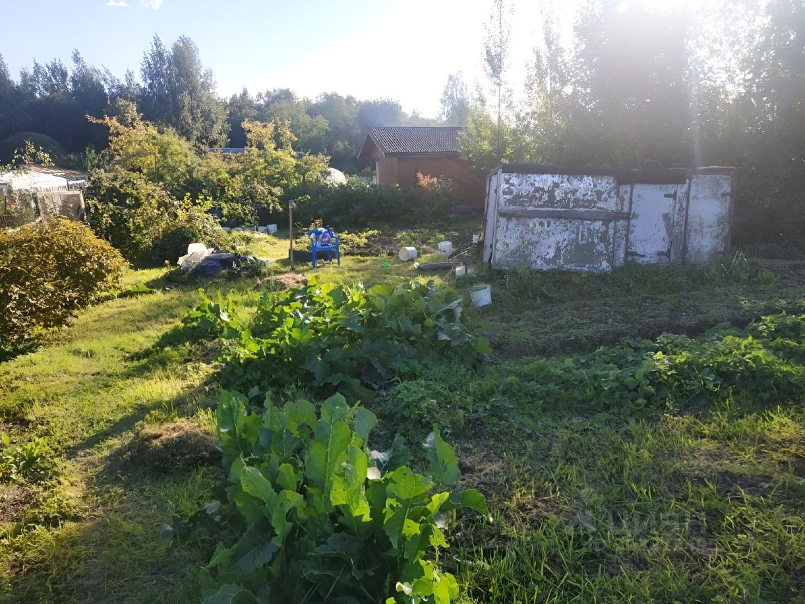 Купить Участок В Белоострове Недорого